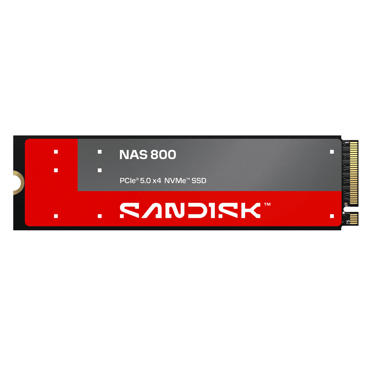 Sandisk NAS 800 Turns 7.68TB of M.2 Flash Into a Five-Year NAS Workhorse